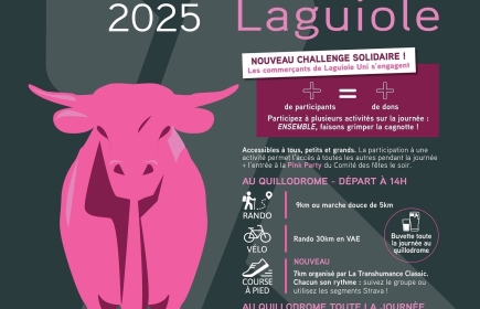 Le Rotaract Nord Aveyron prépare Octobre Rose le samedi 18 Octobre